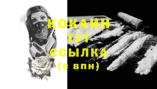 винт Надым
