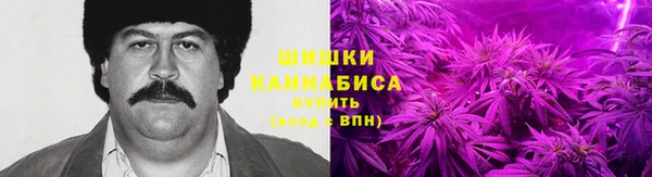 индика Навашино
