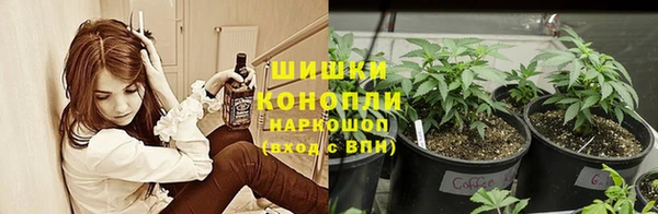винт Надым